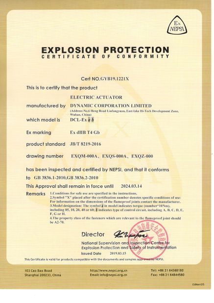 Porcellana Dynamic Corporation Limited Certificazioni