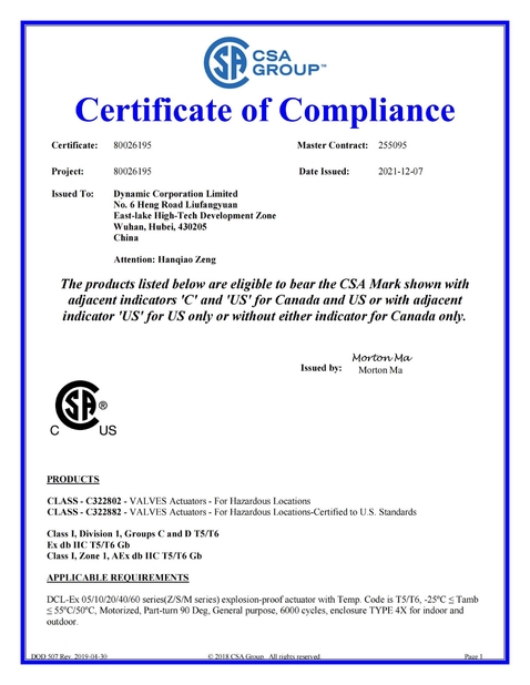 Porcellana Dynamic Corporation Limited Certificazioni