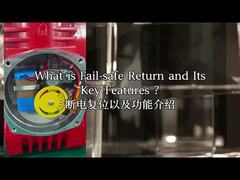 Attuatore elettrico a prova di esplosione IP68 CSA Power-off Reset Modbus